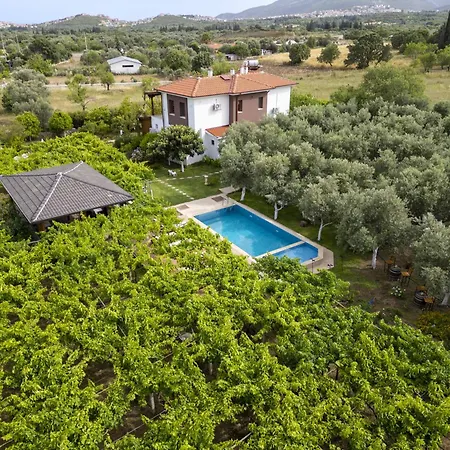 Hotel Grape Datca