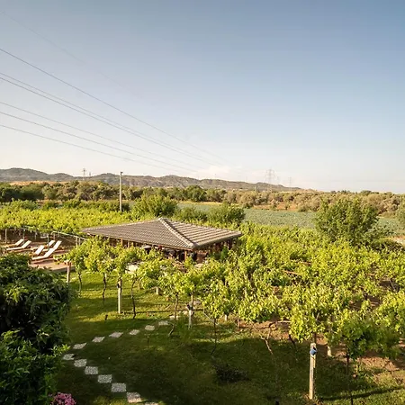 Grape Datca