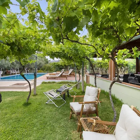 Grape Datca Kızlanköy