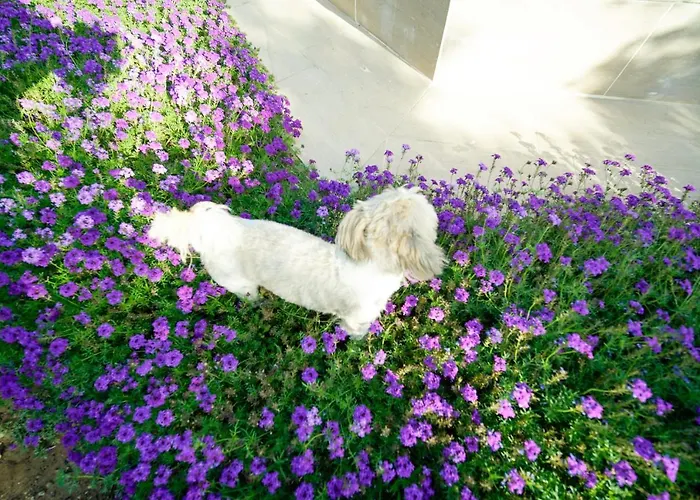 מלון Grape Datca *